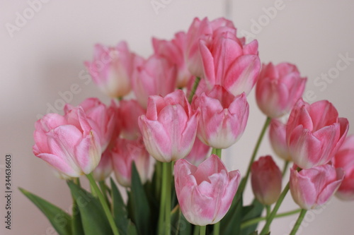 bouquet of pink tulips © TMsan