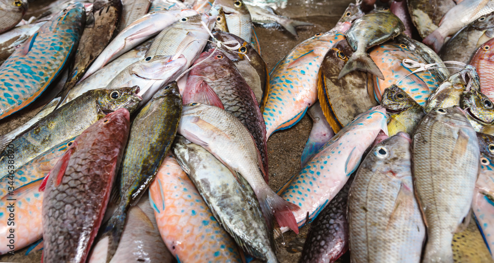Obraz premium Freshly caught tropical fish ready for sale at the fish market. Fresh seafood, fish background. Top view