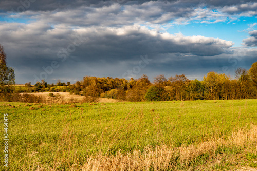 beautiful green field against the blue sky