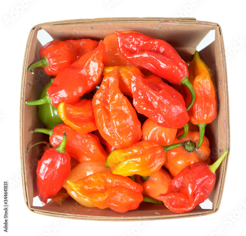  hottest pepper photo