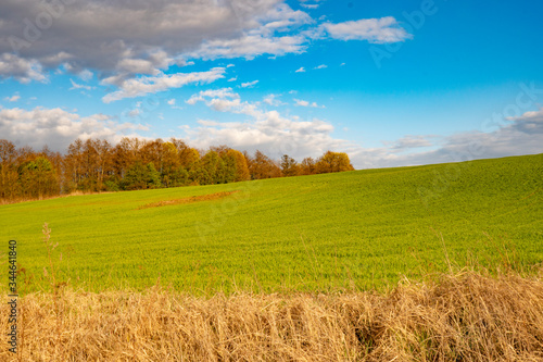 beautiful green field against the blue sky