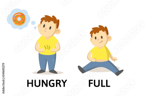 Words HUNGRY and FULL flashcard with text cartoon characters. Opposite adjectives explanation card. Flat vector illustration, isolated on white background.