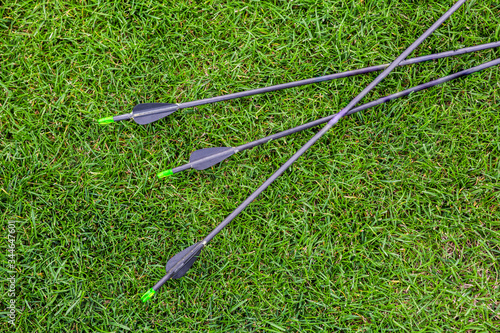 arrows for sports archery on a green lawn