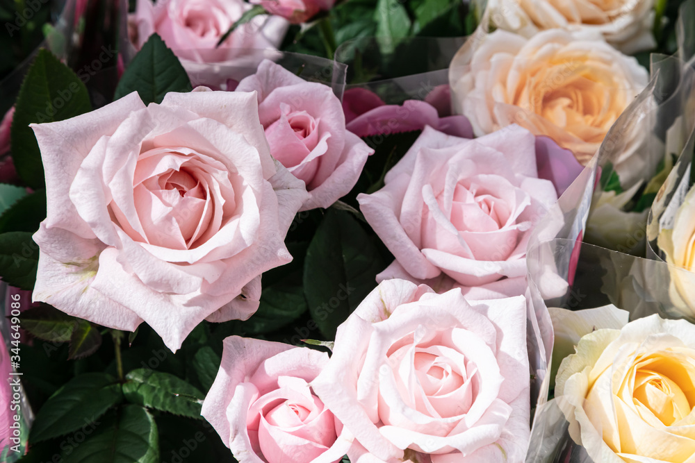 Pink and cream roses in bouquets. Delivery concept. Pink and cream roses in bouquets. Delivery concept.