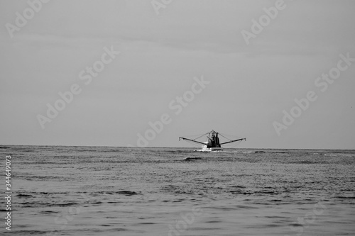 Getting closer to shrimping