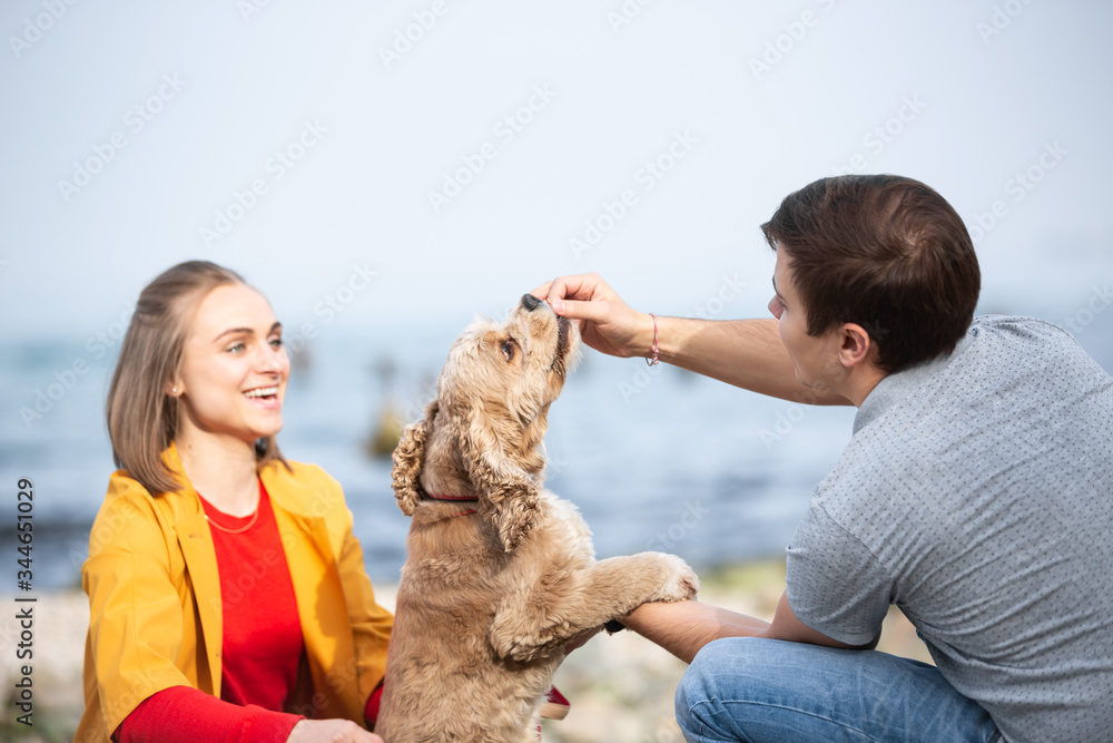 Young couple playing with a dog on a sea coast. Dog walking outdoors. Young couple playing with a dog on a sea coast. Dog walking outdoors.