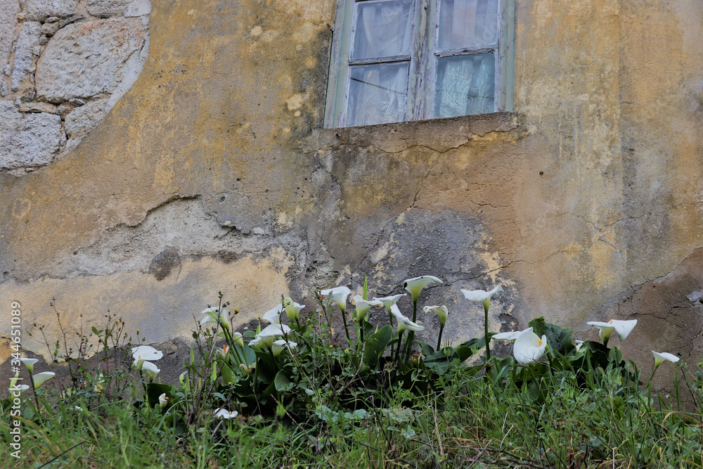 The dilapidated facade of the old house with a skewed window and flowers under it. The dilapidated facade of the old house with a skewed window and flowers under it.