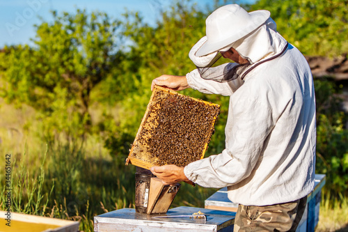 Man shows a wooden frame with honeycombs on the background of green grass and garden