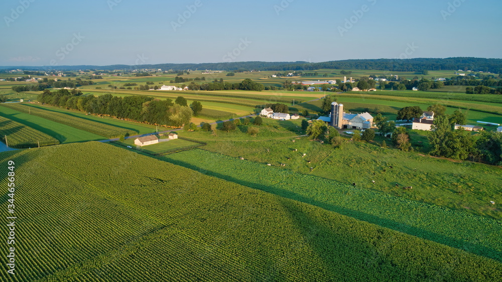 Aerial view of farm lands and corn crop and fields in late afternoon