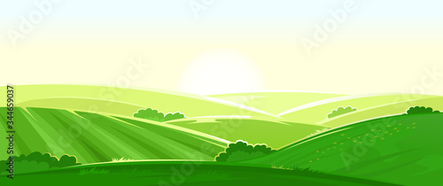 Sunny rural landscape. Vector. Green grassy hills, farm fields, meadows and pastures. Bright summer sun, controside panorama. Viev.
