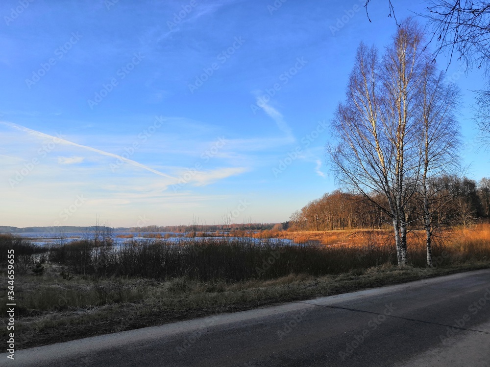 Fototapeta premium road in winter