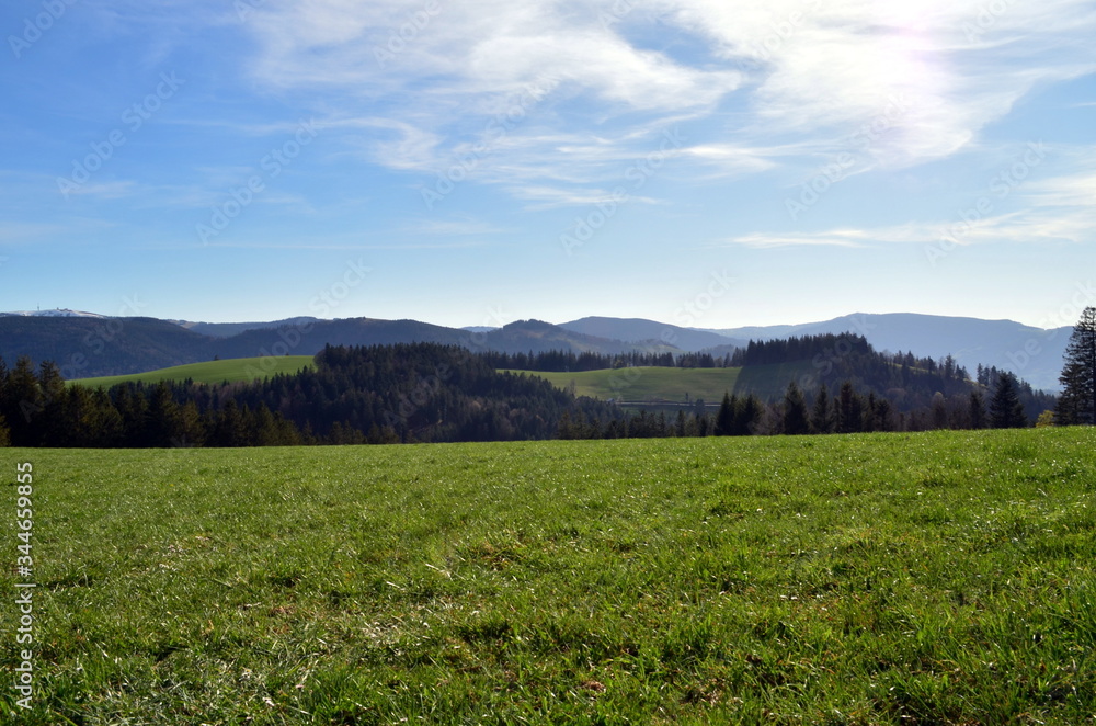 Wiesen und Wälder in Breitnau im Schwarzwald