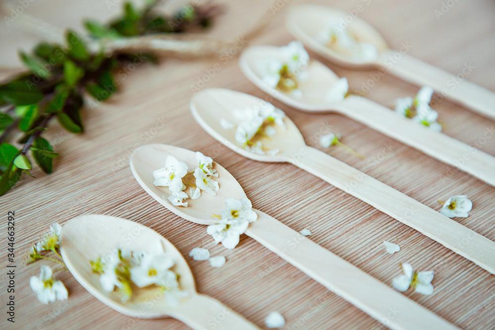 eco-friendly, disposable tableware, without plastic, spoons eco-friendly, disposable tableware, without plastic, spoons