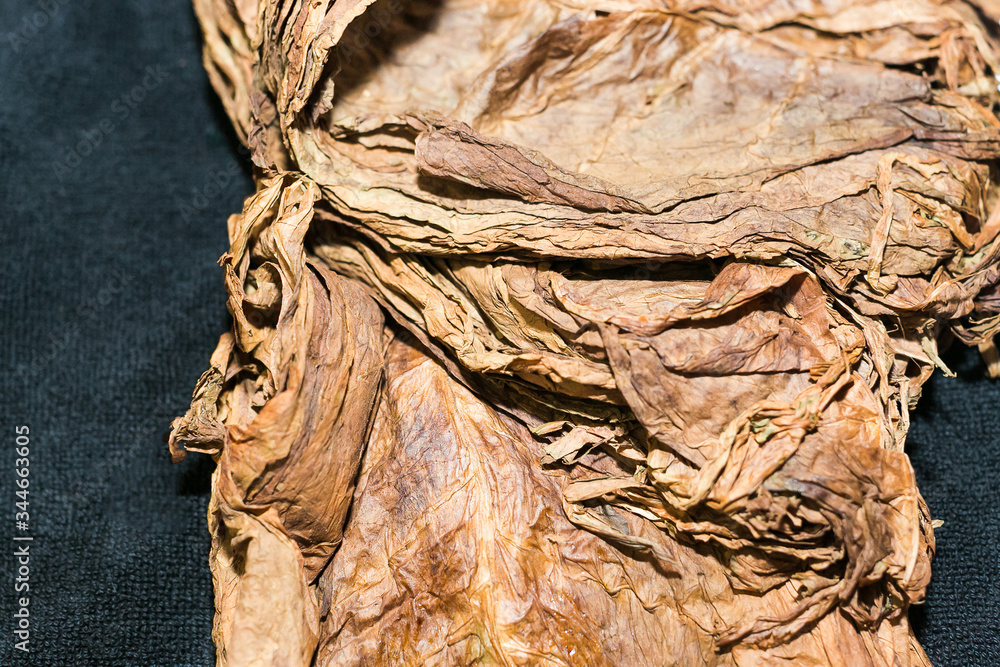 Enlarged image of compressed and dried fermented tobacco leaves of better quality. Enlarged image of compressed and dried fermented tobacco leaves of better quality.