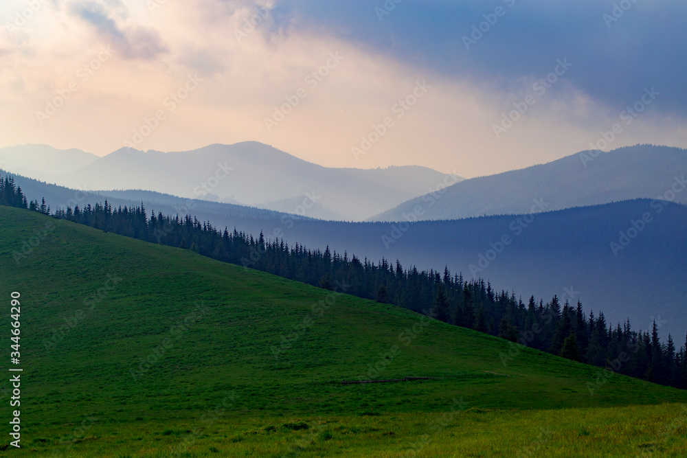 Mountains in the haze at sunset. Alpine mountain green meadow and forest at sunset in the mountains in the background. Mountain View