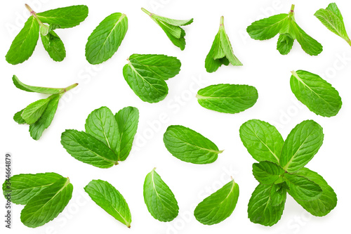 Fresh mint leaves isolated on white background. top view © Eywa