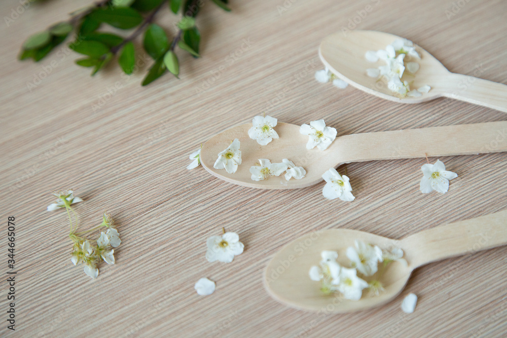 eco-friendly, disposable tableware, without plastic, spoons eco-friendly, disposable tableware, without plastic, spoons