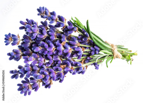 Fototapeta Naklejka Na Ścianę i Meble -  Bunch of lavandula or lavender flowers on white background.