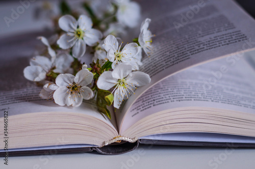 Open book with blossom branch of cherry-tree