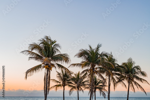 Amanecer sobre palmeras © WilliamNicolas