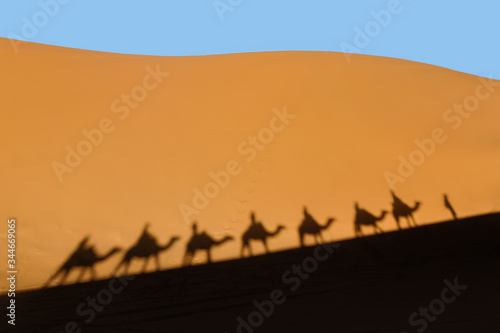 landscape of camel riding in golden sahara desert