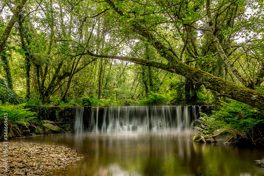 Forest water falls in the green trees Forest water falls in the green trees