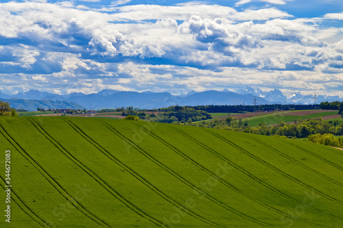 green field and blue sky