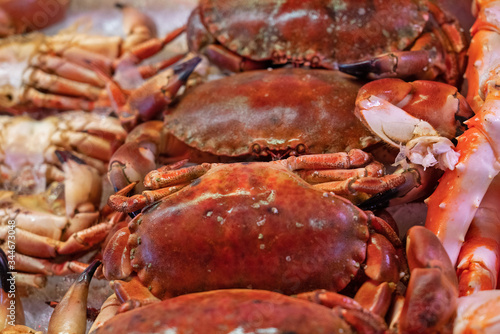 Crabs seafood on the market, food background