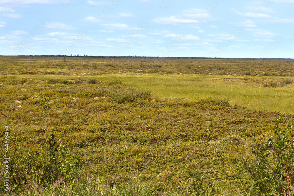 Tundra landscape in north of Russia against blue sky