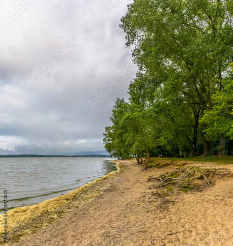 Windy weather on the shore of the Minsk Sea reservoir. © zoya54