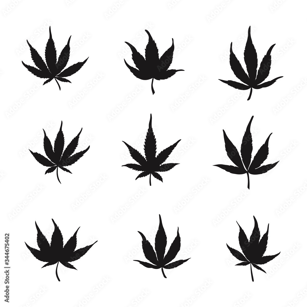 Set of black cannabis leaves isolated on a white background Silhouette of cannabis. Vector illustration of marijuana cannabis leaves