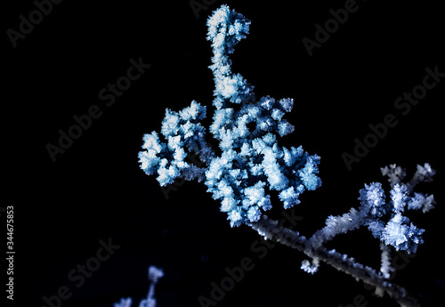 Iced plant at the winter night 