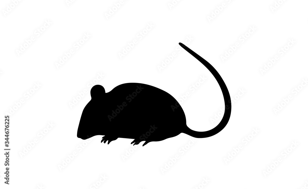 Mouse Silhouette On White Background Mouse Silhouette On White Background
