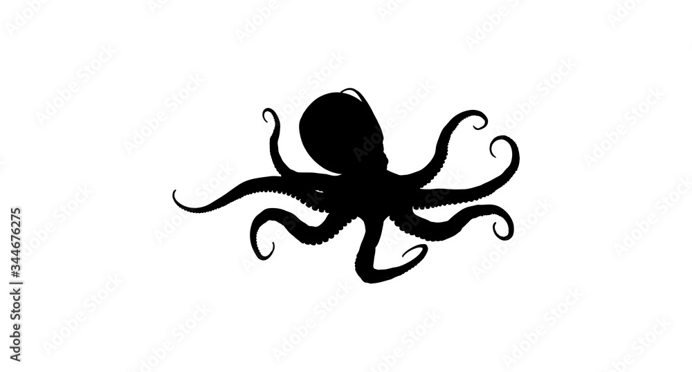 Obraz premium Octopus Silhouette On White Background