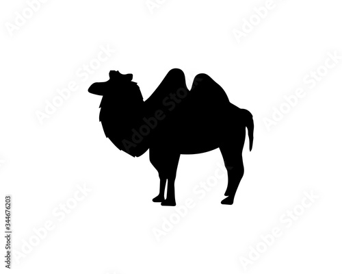 Camel Silhouette On White Background