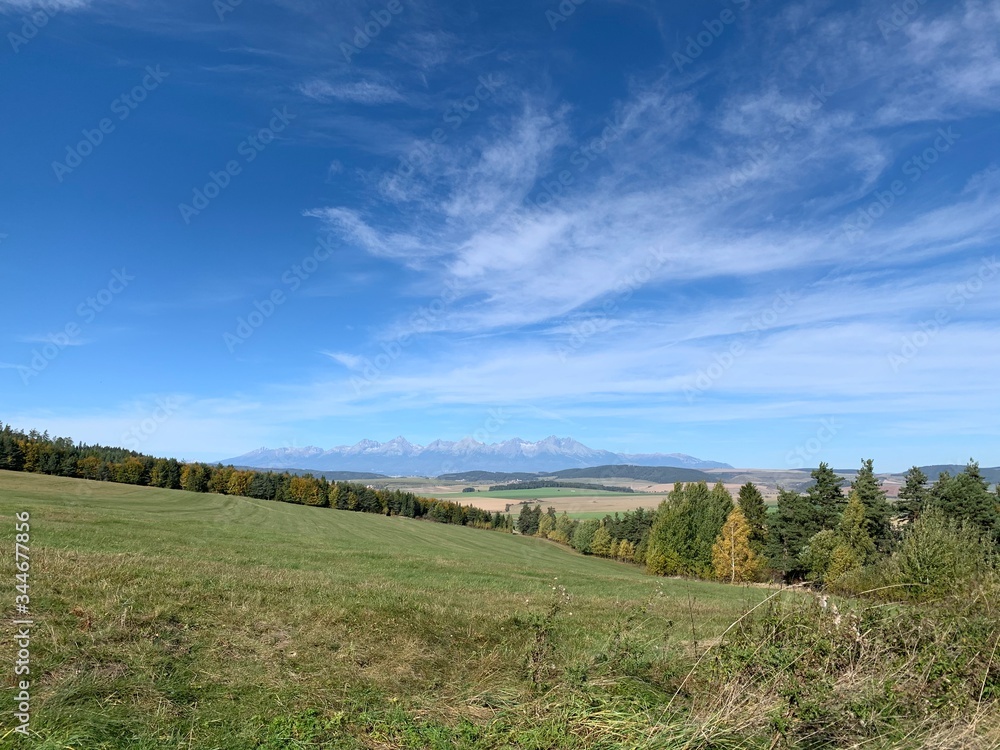 Fototapeta premium rural landscape with blue sky