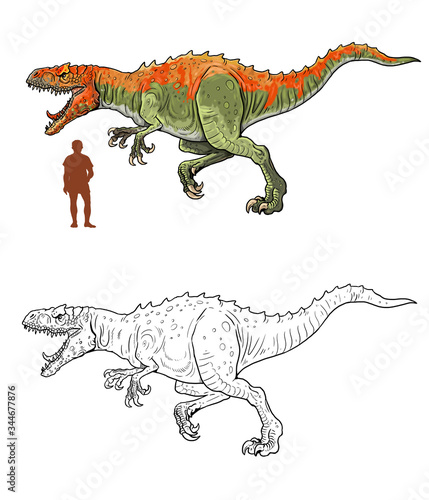 Allosaurus compared to human. Comparison between dinosaur and human. Dino coloring page.