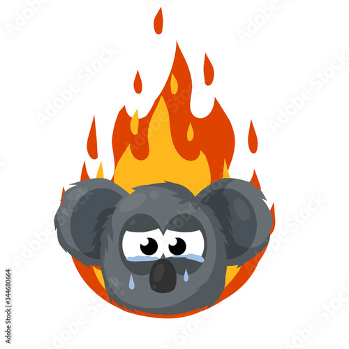 Koala is crying. Fire in Australia. Red flame. Natural disaster. Extinction of animal. Sad cute character and tears. grey beast's face. Cartoon flat illustration
