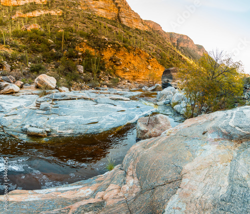 Sabino Creek Flows Through Bear Canyon, Sabino Canyon Recreation Area, Tucson, Arizona, USA photo