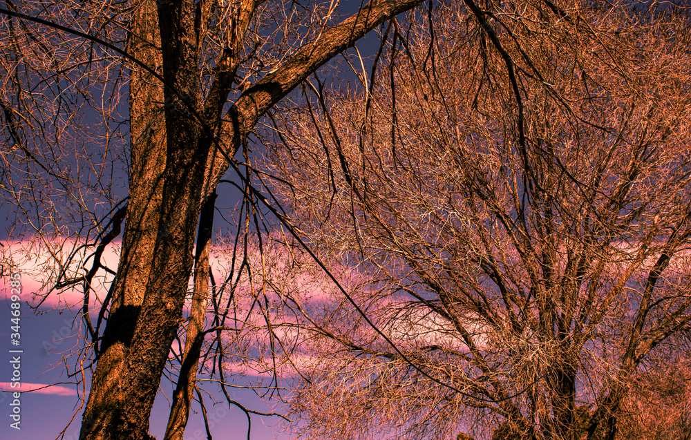 Fototapeta premium Sunsetshadows