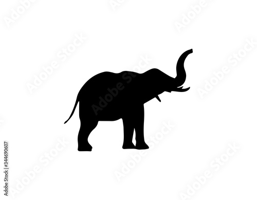 Elephant Silhouette On White Background