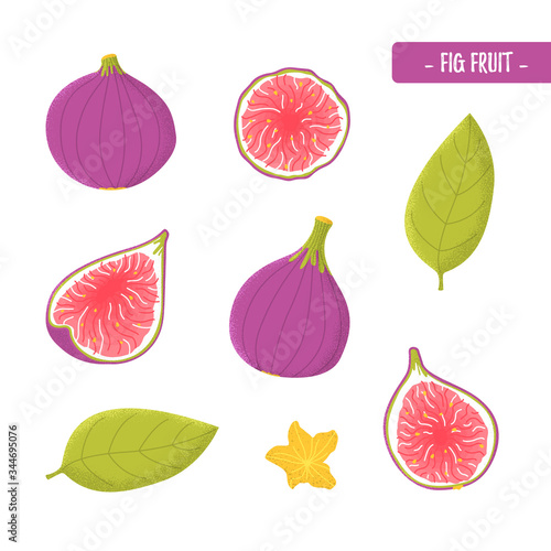 figs fruit in modern flat style