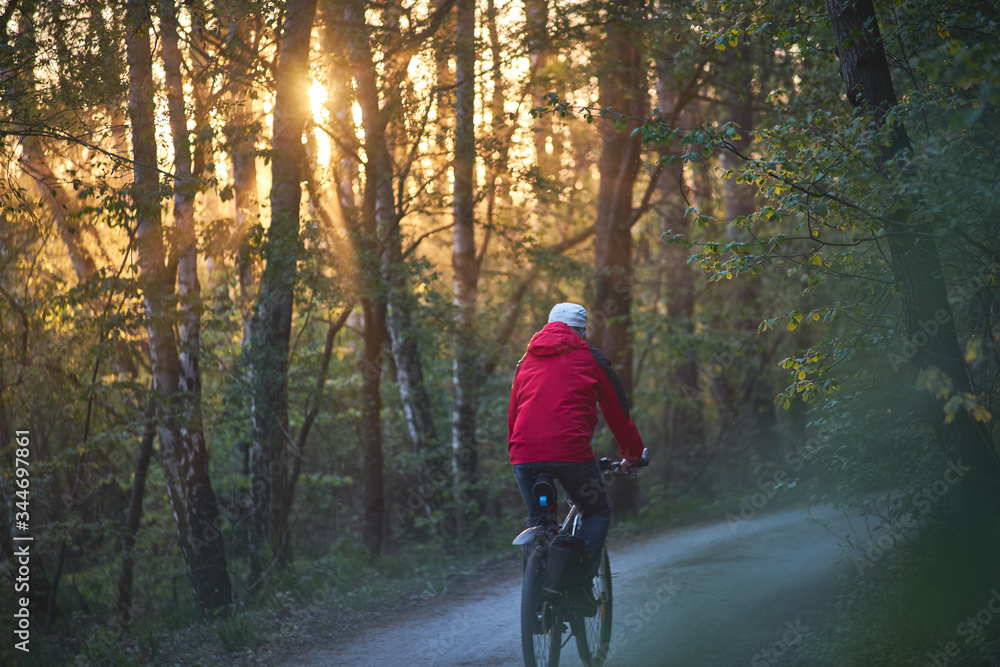 Biciclist in a forest in the light of a sunset.