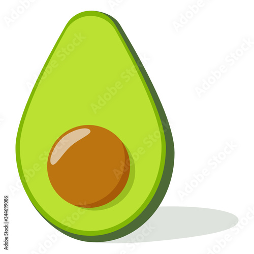 vector illustration of an avocado