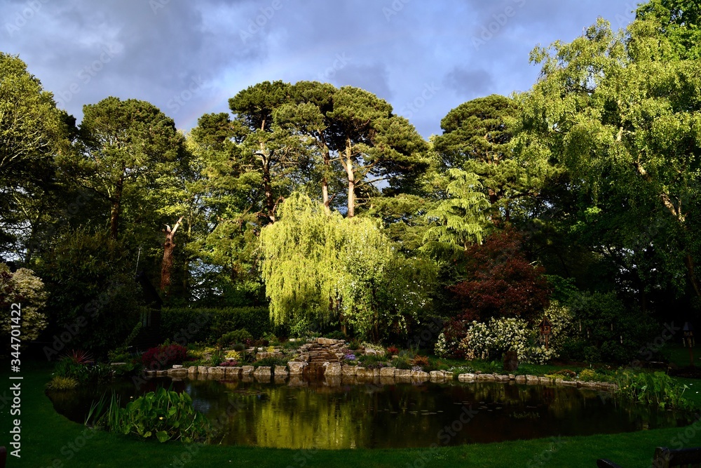 Rainy sunset in the garden