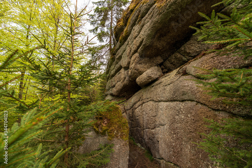 Lehrmüllermauer im Tannermoor Oberösterreich