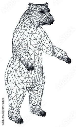 Standing bear polygonal lines illustration. Abstract vector bear on the white background © kurtcan