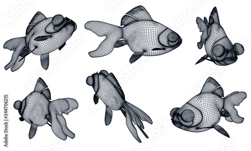 Telescope goldfish polygonal lines illustration. Abstract vector fish on the white background