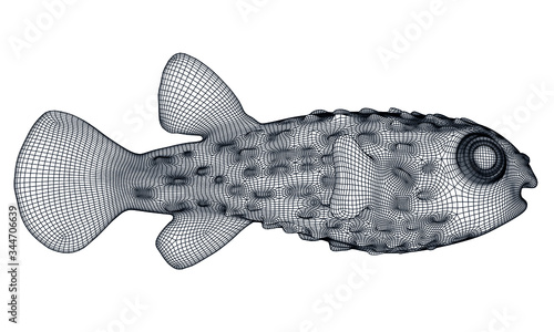 Puffer fish polygonal lines illustration. Abstract vector fish on the white background