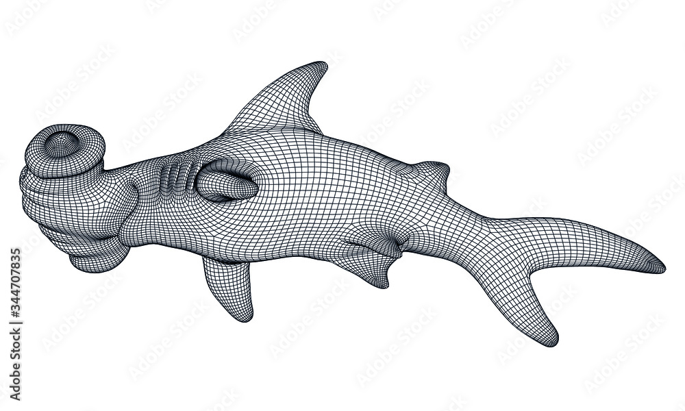 Obraz premium Hammerhead shark polygonal lines illustration. Abstract vector hammerhead shark on the white background